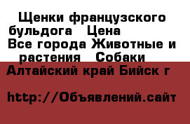 Щенки французского бульдога › Цена ­ 30 000 - Все города Животные и растения » Собаки   . Алтайский край,Бийск г.